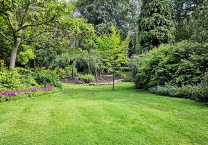 Optimiser l'expérience du jardin à Garancieres-en-Beauce